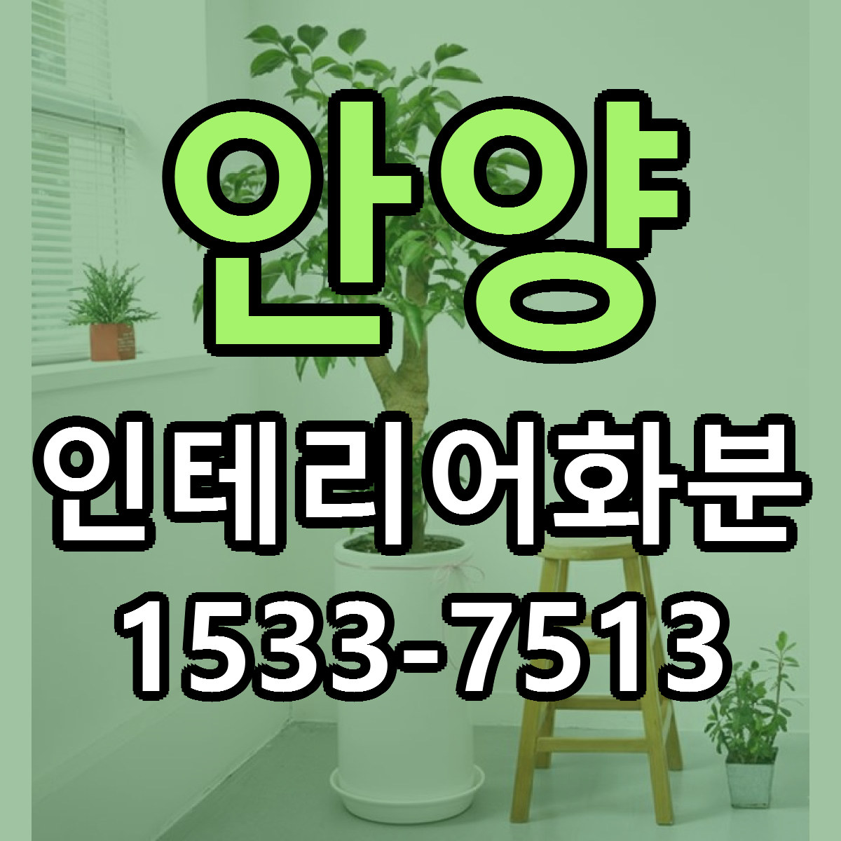 안양 인테리어화분 근처꽃집 빠른배송 가격 문의