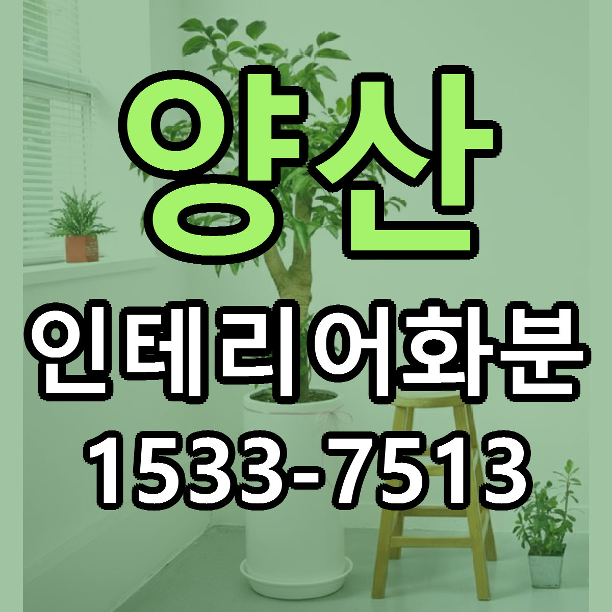 양산 인테리어화분 가격 만족 저렴한곳 리본문구 작성