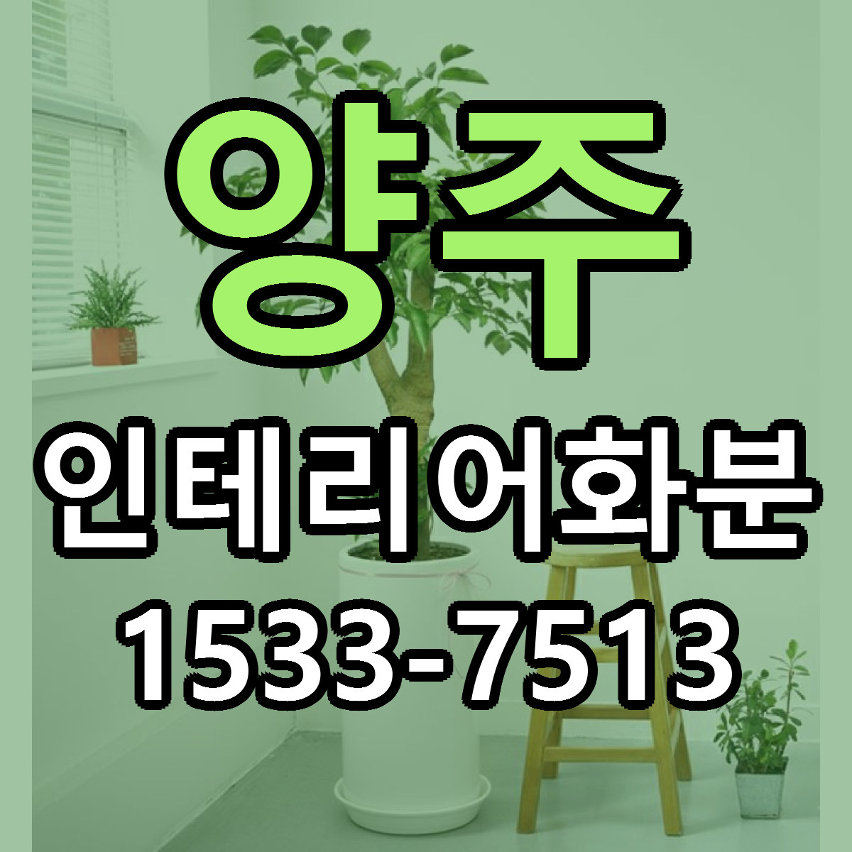 양주 인테리어화분 빠른배송 가격 저렴한곳 찾기
