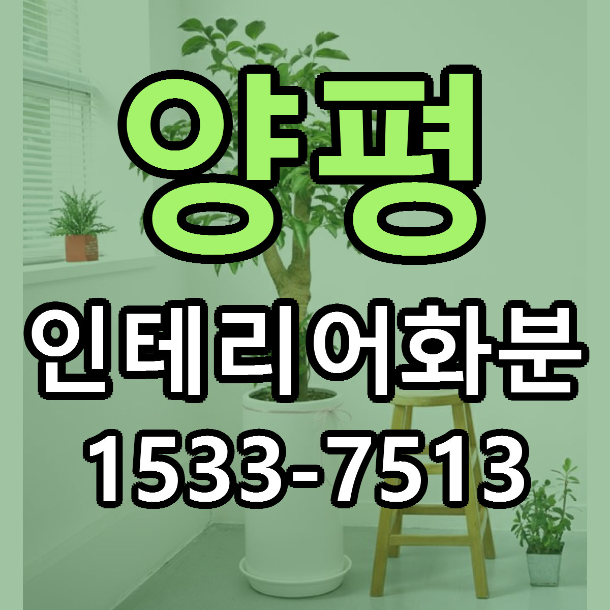 양평 인테리어화분 근처꽃집 당일배송 리본문구 서비스
