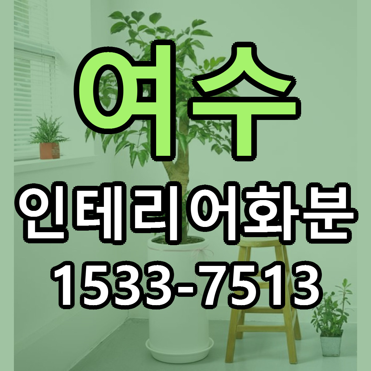 여수 인테리어화분 당일배송 근처꽃집 싼곳 비교