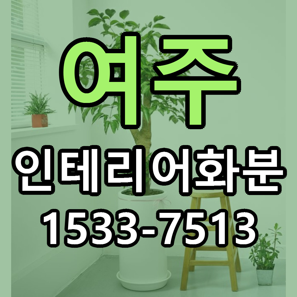 여주 인테리어화분 저렴한곳 당일배송 근처꽃집 추천