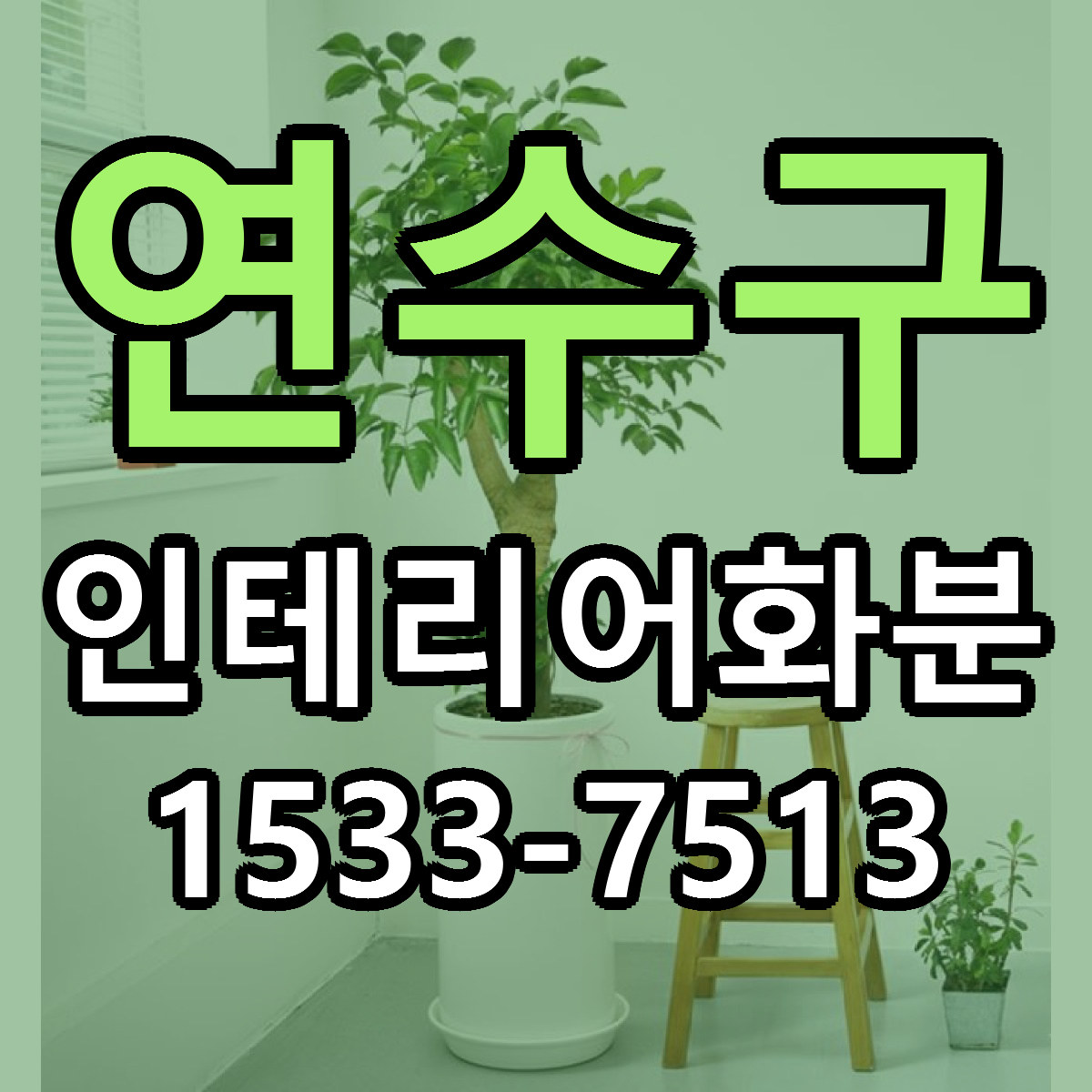 연수구 인테리어화분 저렴한곳 당일배송 가격 만족