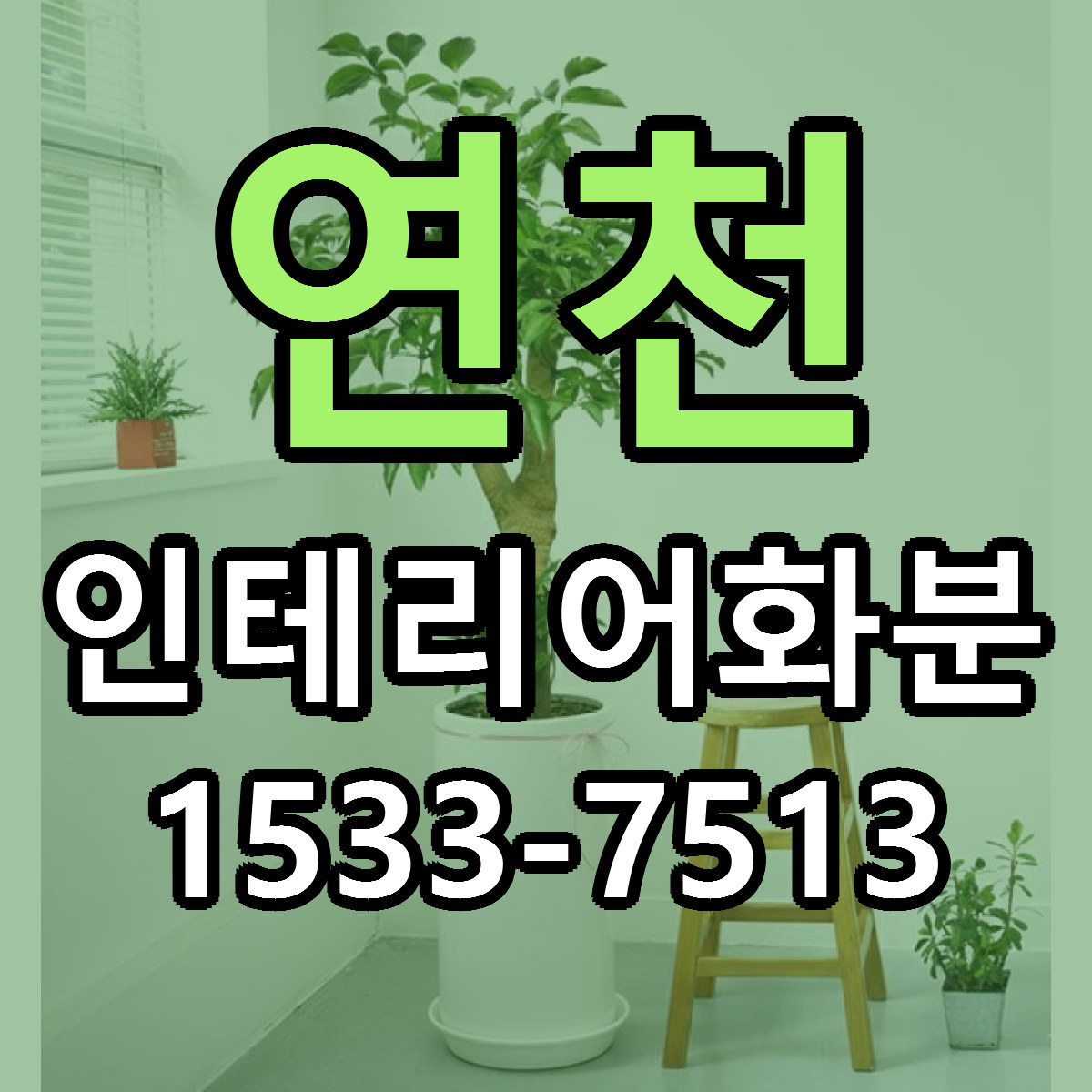 연천 인테리어화분 당일배송 저렴한곳 리본문구 추천