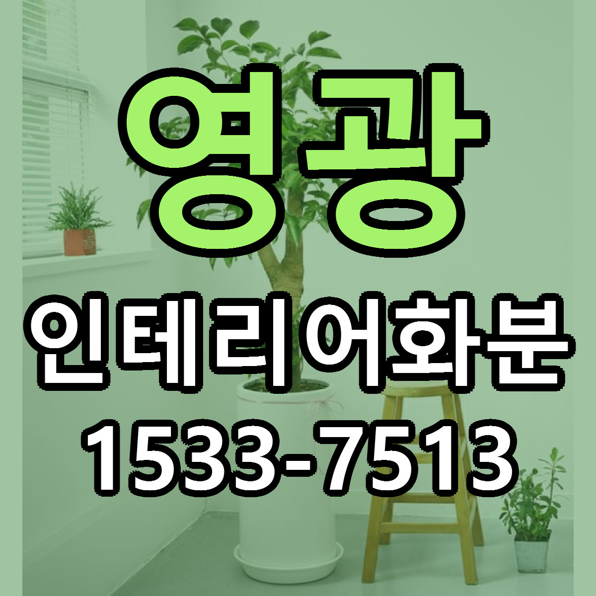 영광 인테리어화분 싼곳 당일배송 리본문구 작성