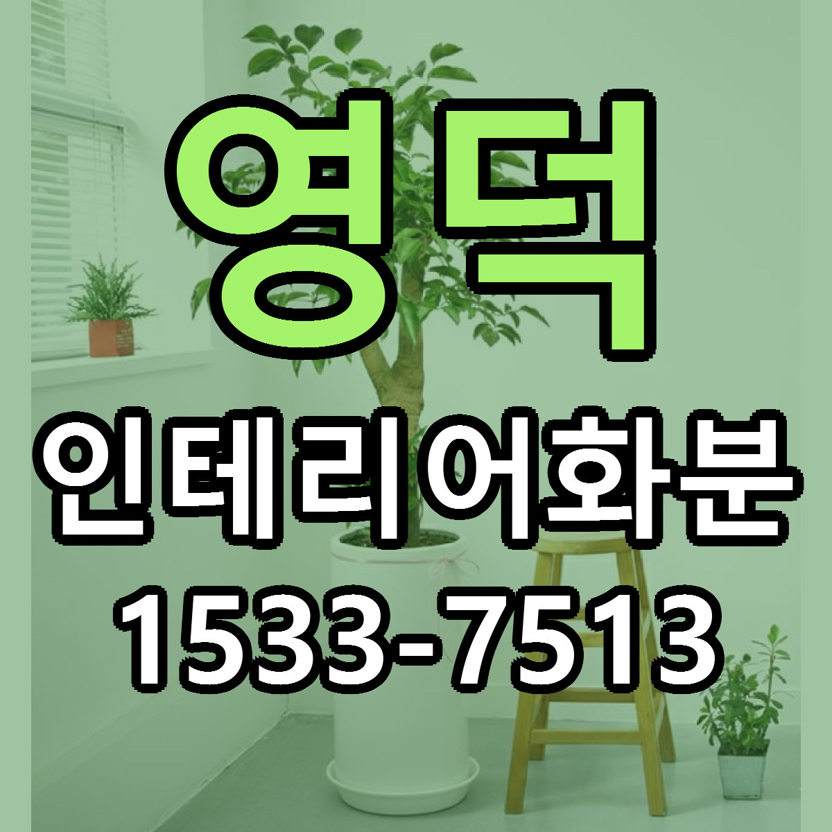 영덕 인테리어화분 싼곳 당일배송 빠른배송 추천