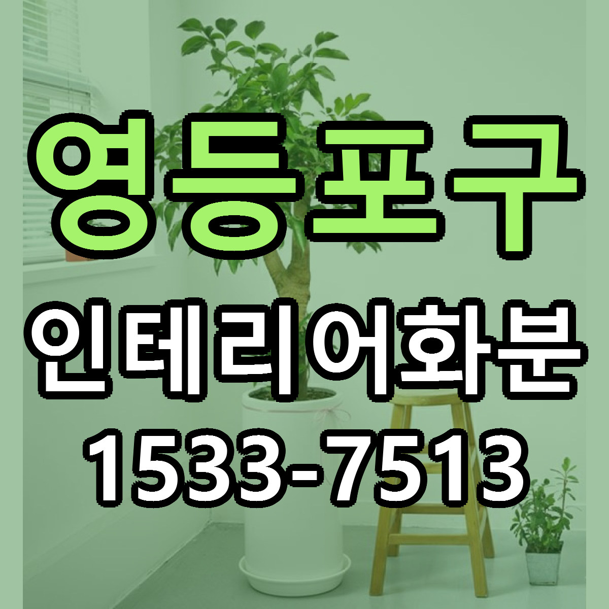 영등포구 인테리어화분 근처꽃집 당일배송 가격 안내