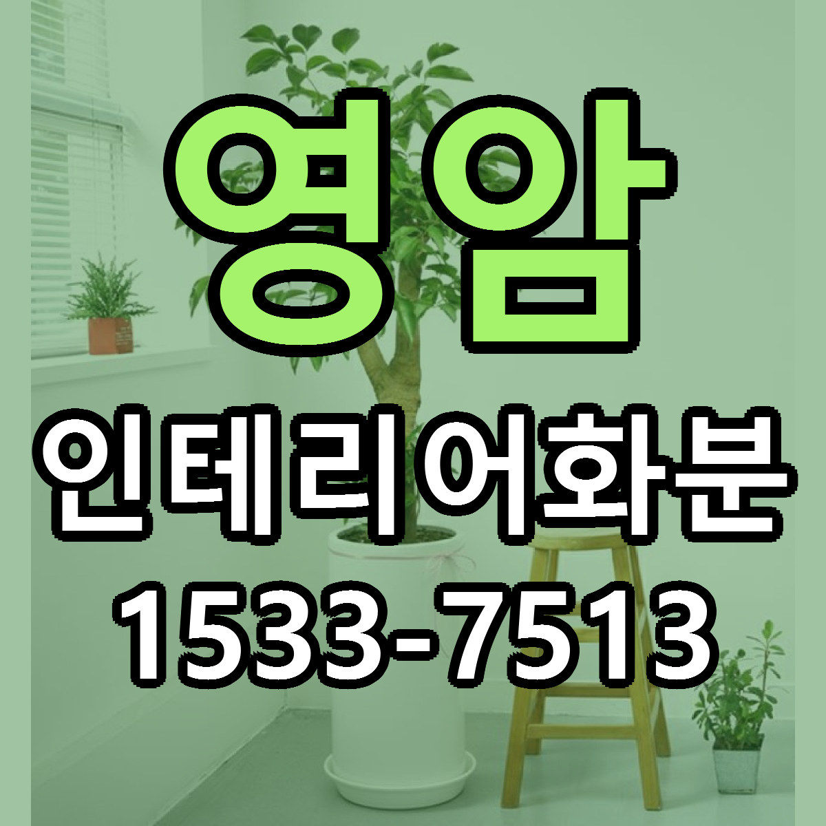 영암 인테리어화분 리본문구 싼곳 빠른배송 예약