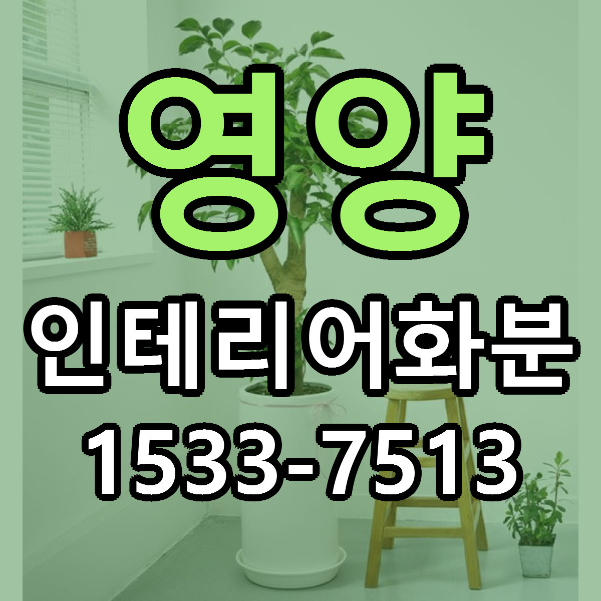 영양 인테리어화분 저렴한곳 당일배송 가격 만족