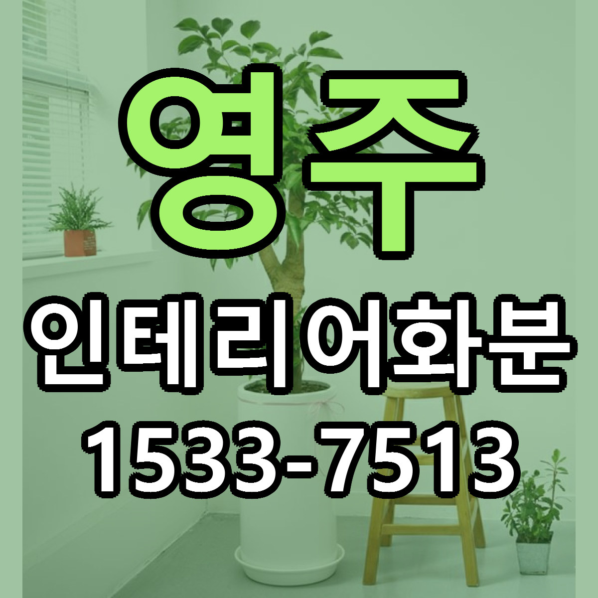 영주 인테리어화분 가격 만족 저렴한곳 리본문구 작성