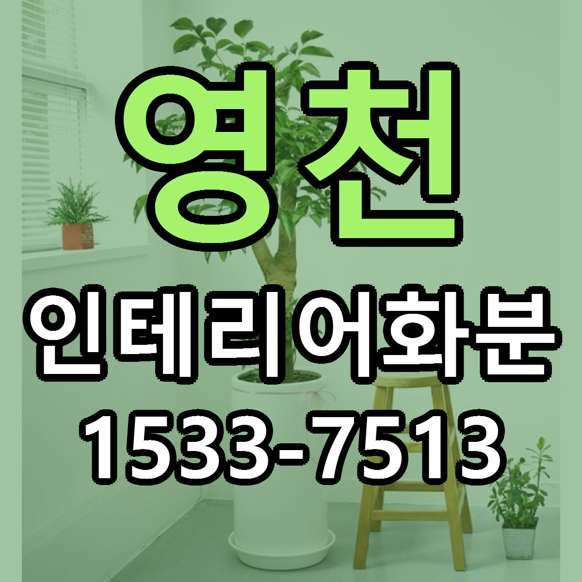 영천 인테리어화분 근처꽃집 저렴한곳 빠른배송 서비스