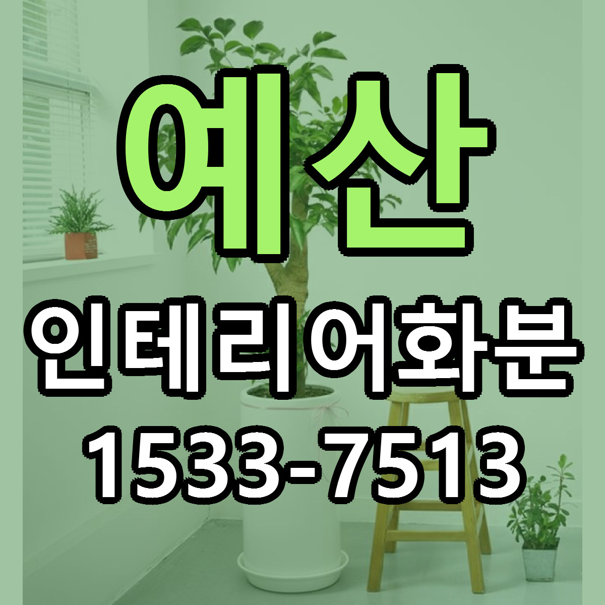 예산 인테리어화분 가격 착한 싼곳 당일배송 안내