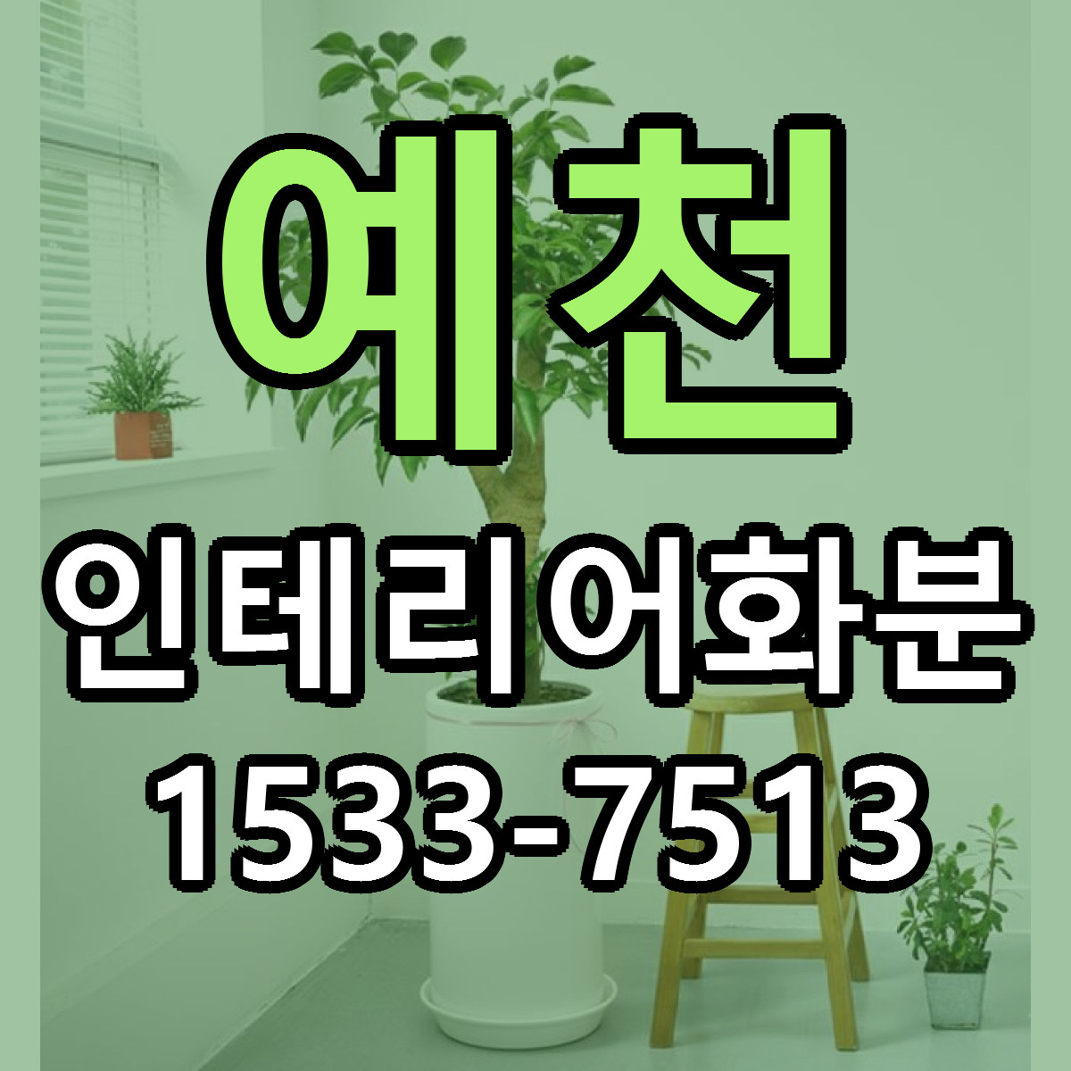 예천 인테리어화분 저렴한곳 당일배송 근처꽃집 추천