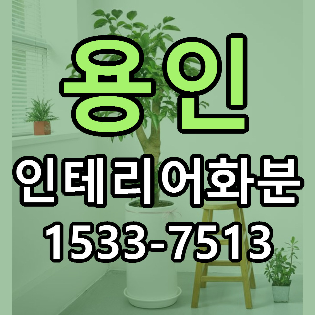용인 인테리어화분 빠른배송 리본문구 근처꽃집 예약