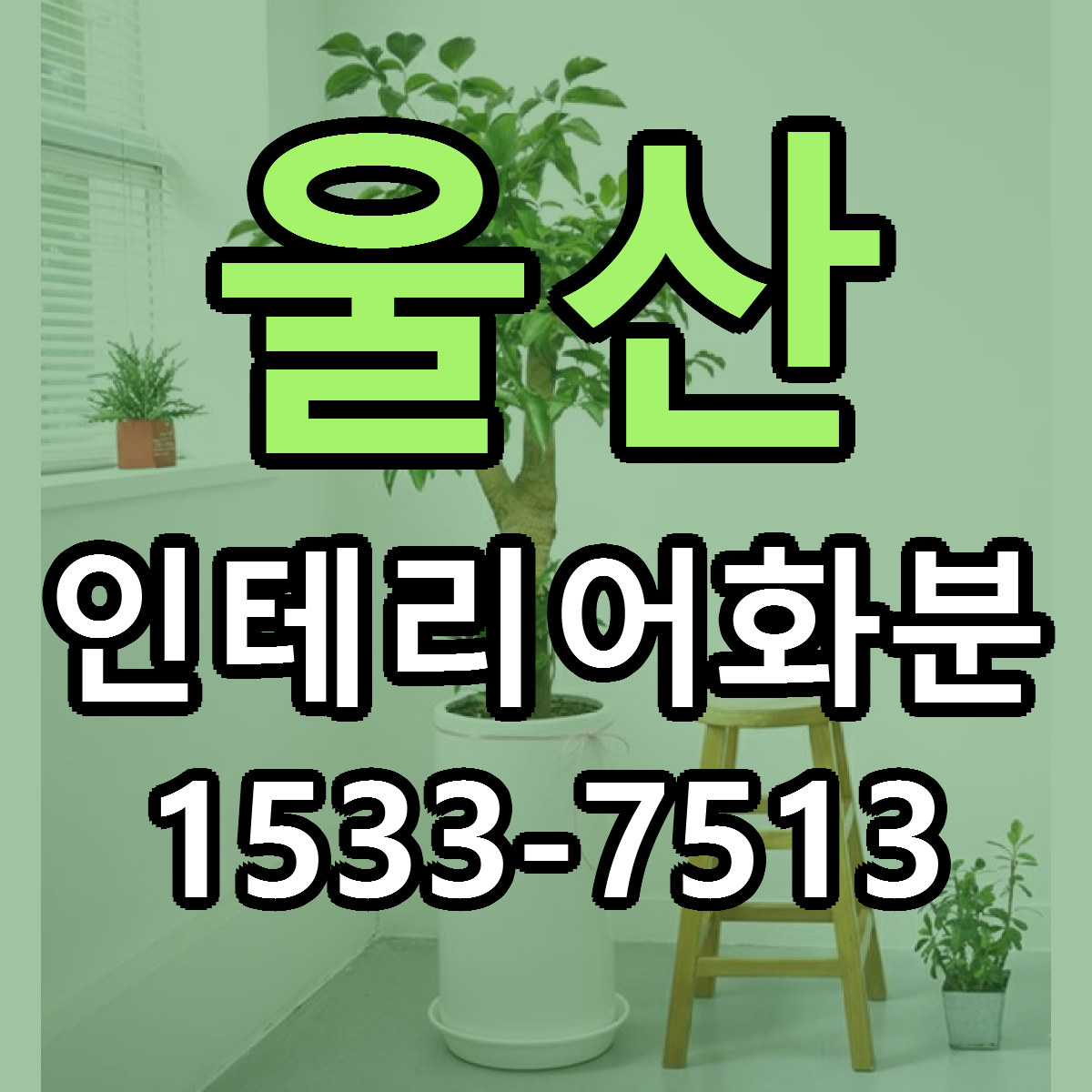 울산 인테리어화분 당일배송 리본문구 빠른배송 서비스