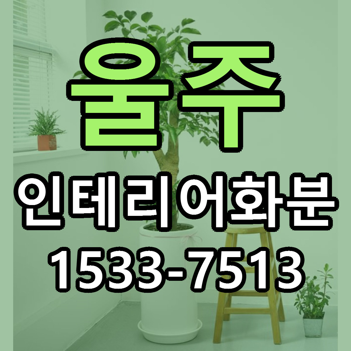 울주 인테리어화분 싼곳 당일배송 리본문구 작성