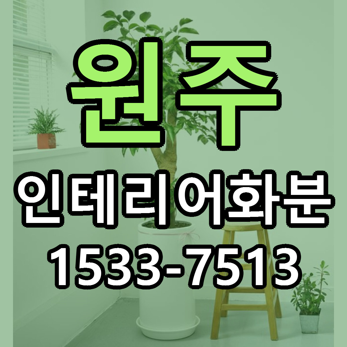 원주 인테리어화분 근처꽃집 당일배송 가격 안내