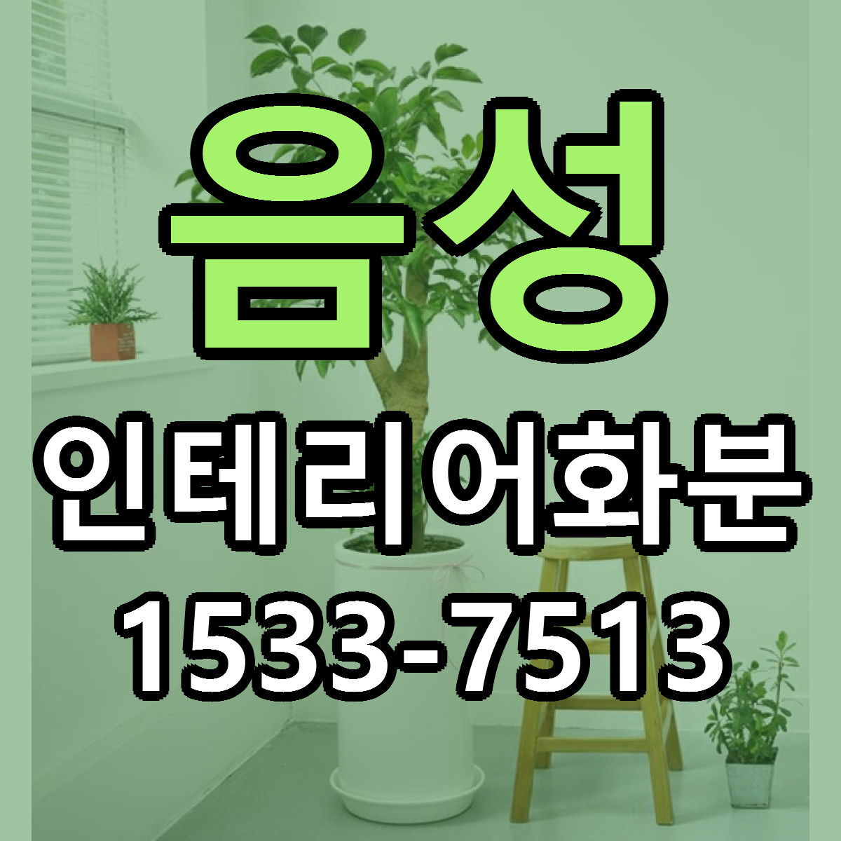 음성 인테리어화분 리본문구 서비스 저렴한곳 빠른배송