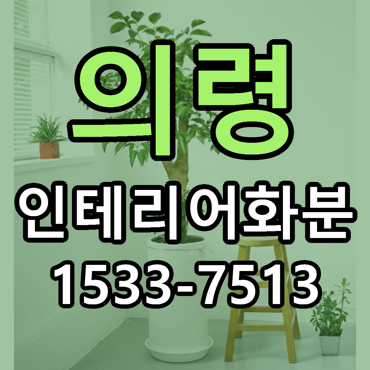 의령 인테리어화분 근처꽃집 빠른배송 가격 문의