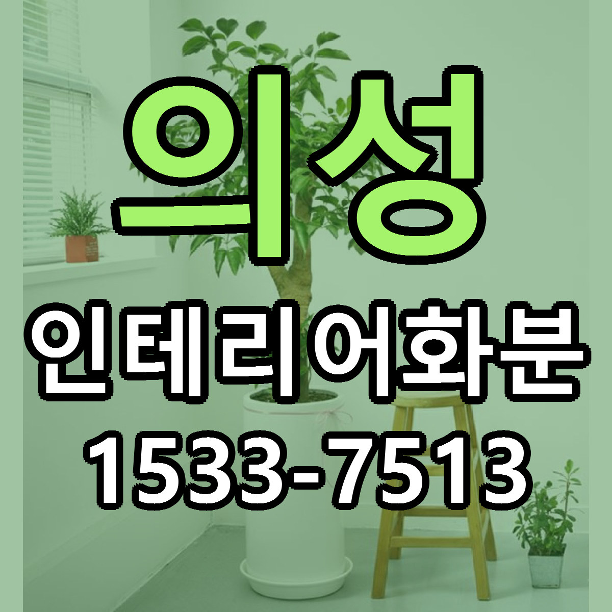 의성 인테리어화분 리본문구 근처꽃집 저렴한곳 예약
