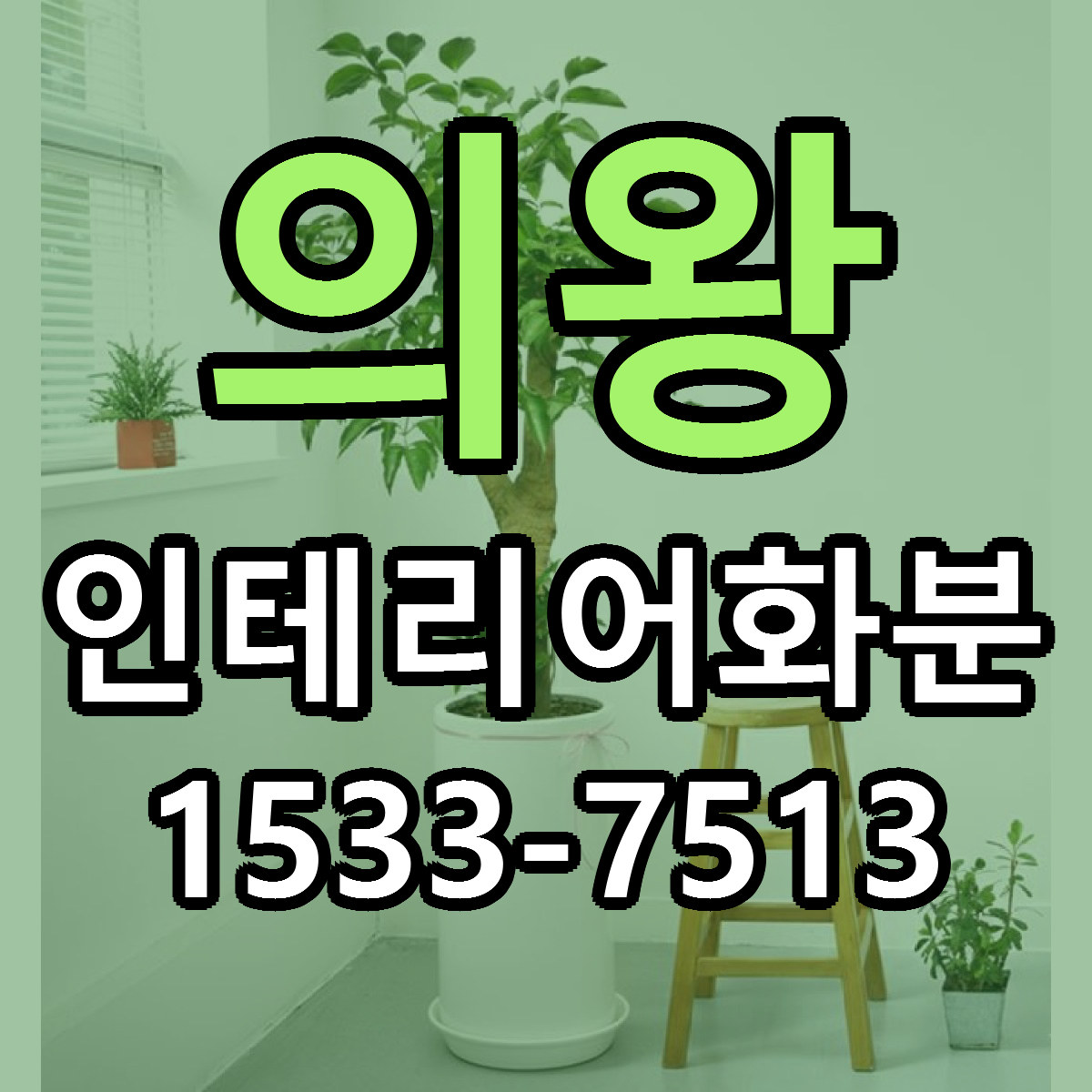 의왕 인테리어화분 리본문구 싼곳 빠른배송 예약