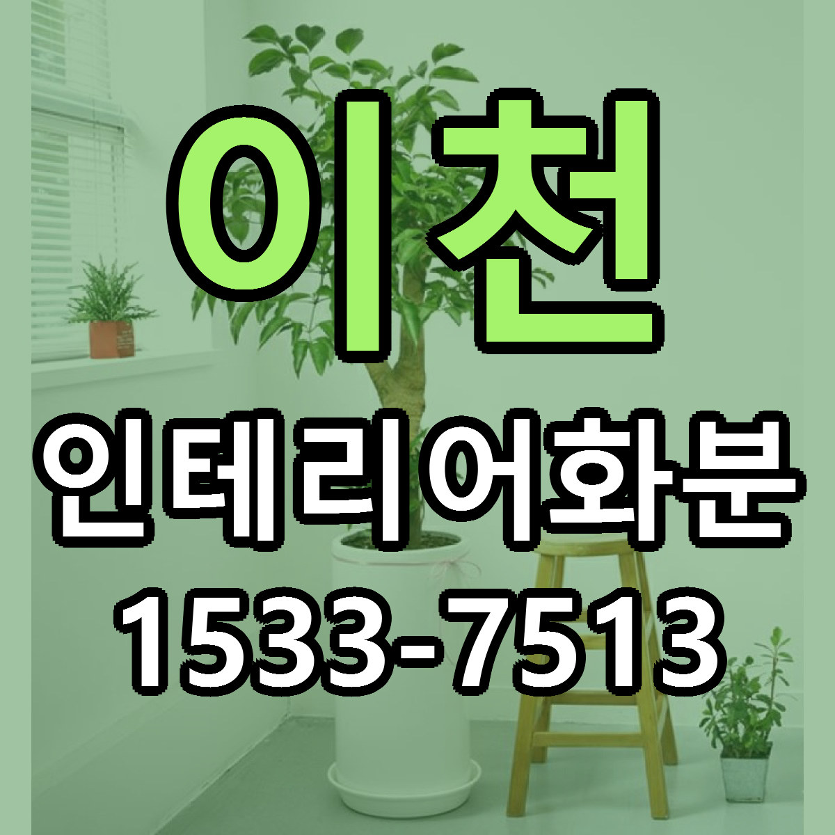 이천 인테리어화분 당일배송 싼곳 리본문구 안내