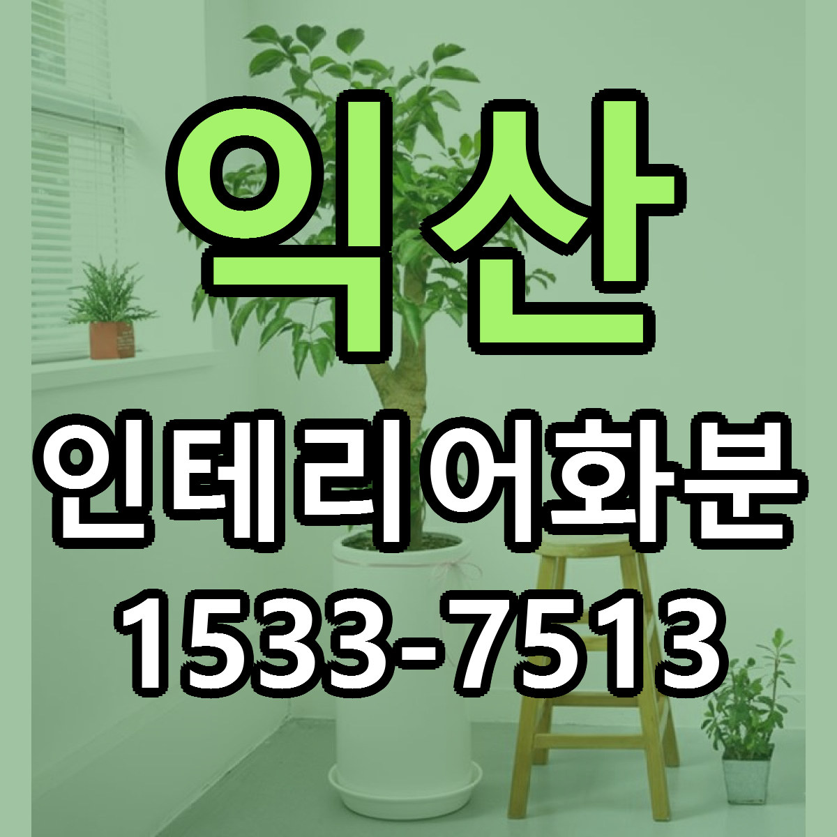 익산 인테리어화분 빠른배송 싼곳 가격 문의