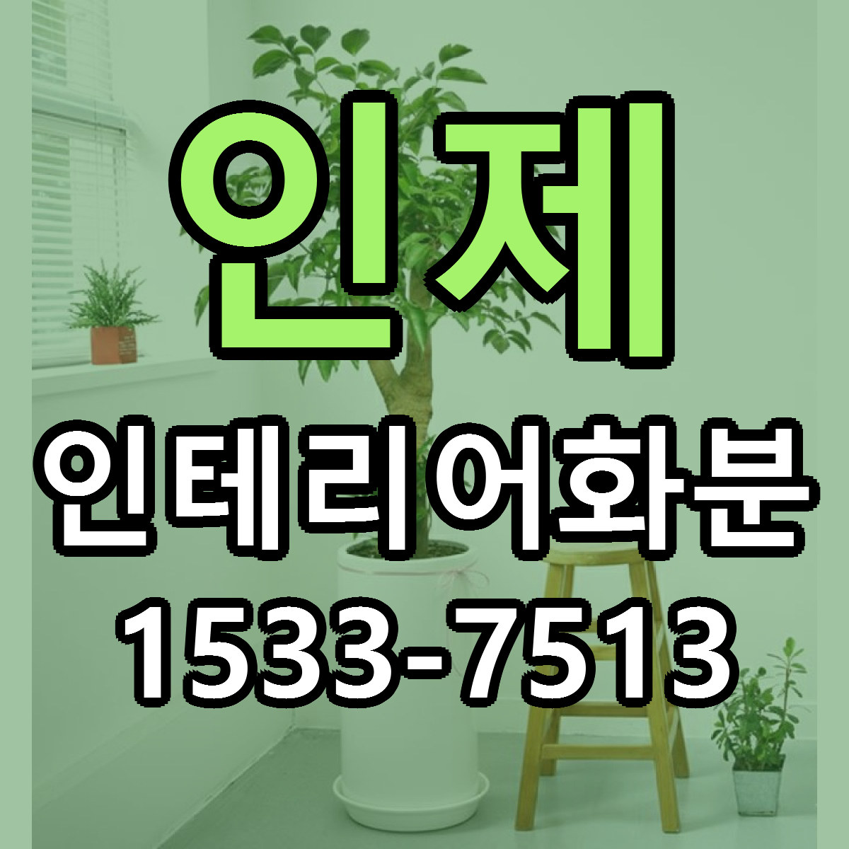 인제 인테리어화분 싼곳 당일배송 리본문구 작성