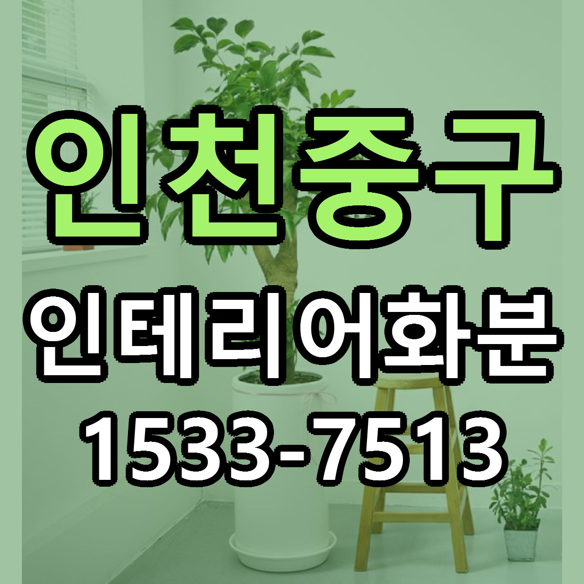 인천중구 인테리어화분 리본문구 서비스 저렴한곳 빠른배송