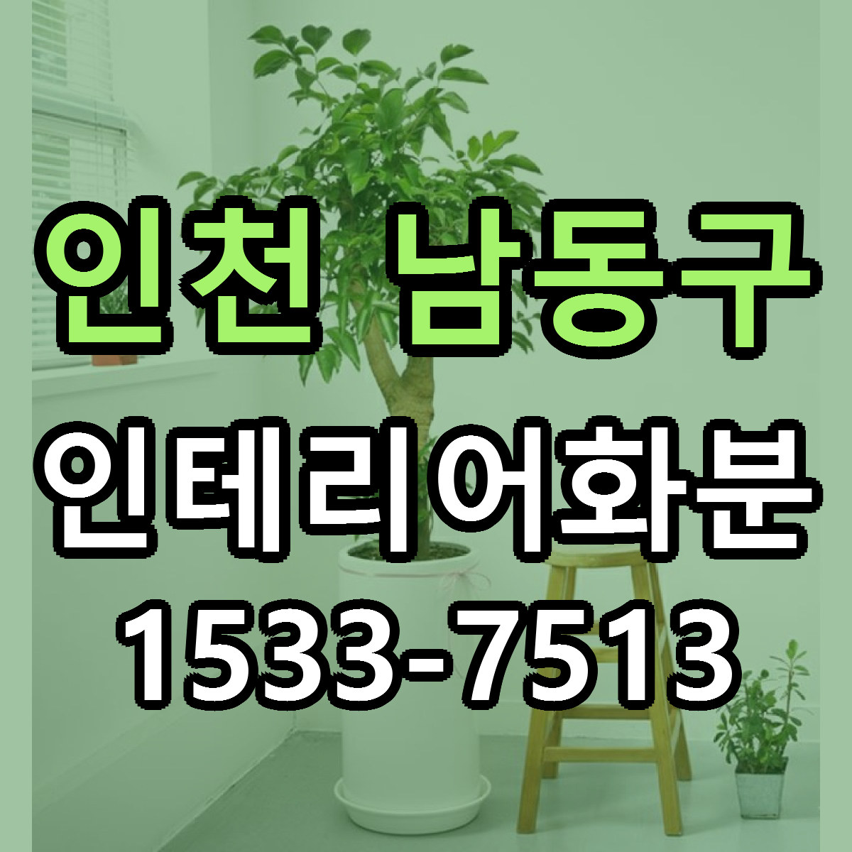 인천 남동구 인테리어화분 빠른배송 가격 저렴한곳 찾기