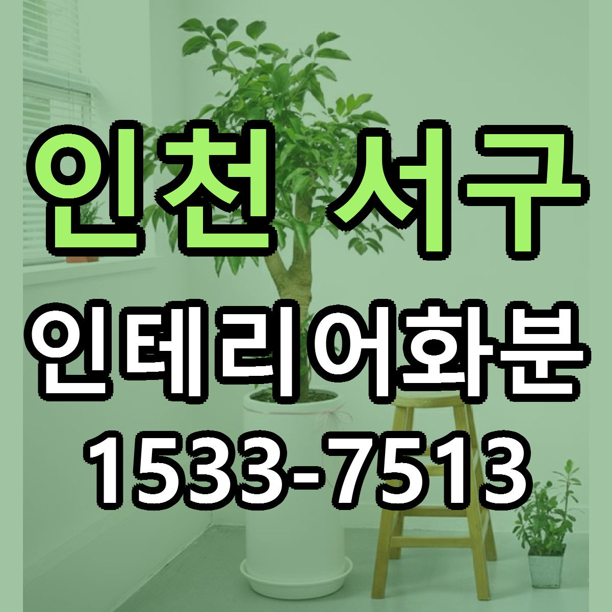 인천 서구 인테리어화분 당일배송 가격 저렴한곳 추천
