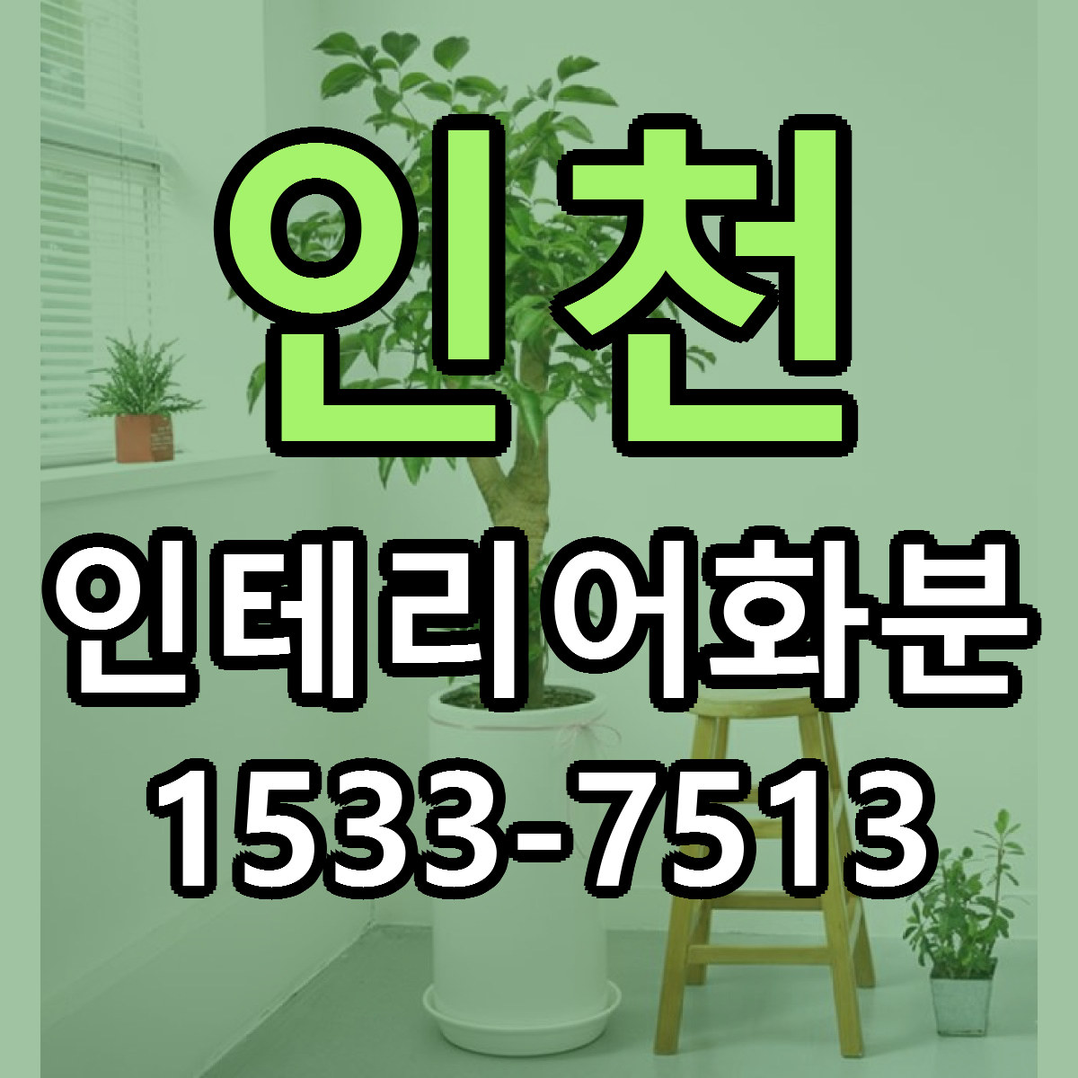 인천 인테리어화분 당일배송 빠른배송 싼곳 찾기