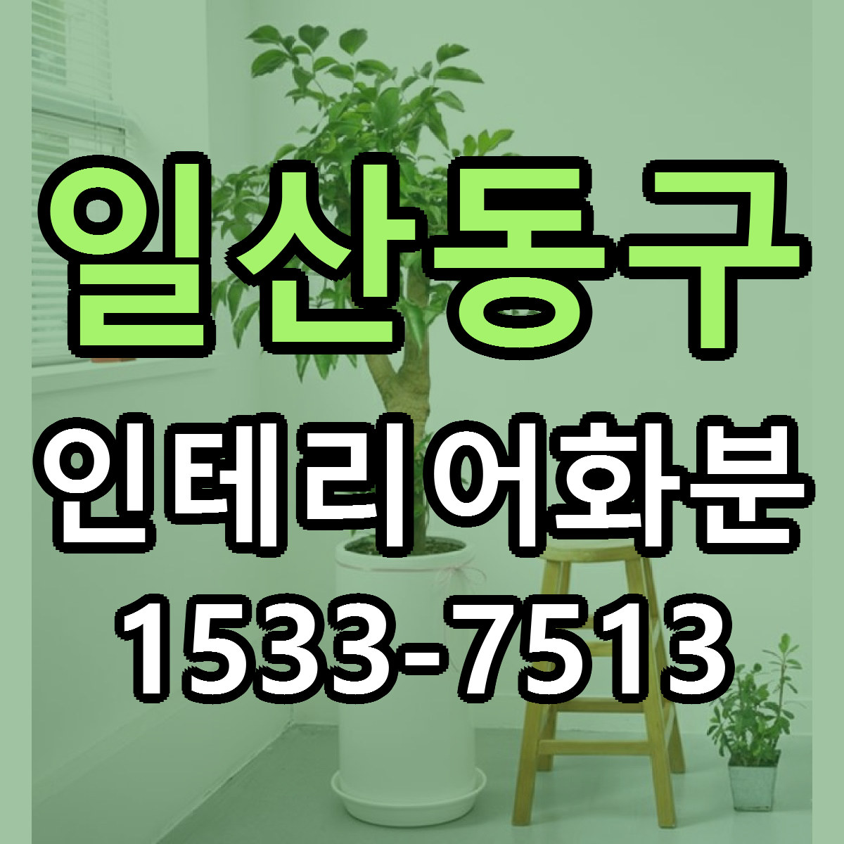 일산동구 인테리어화분 빠른배송 근처꽃집 가격 비교