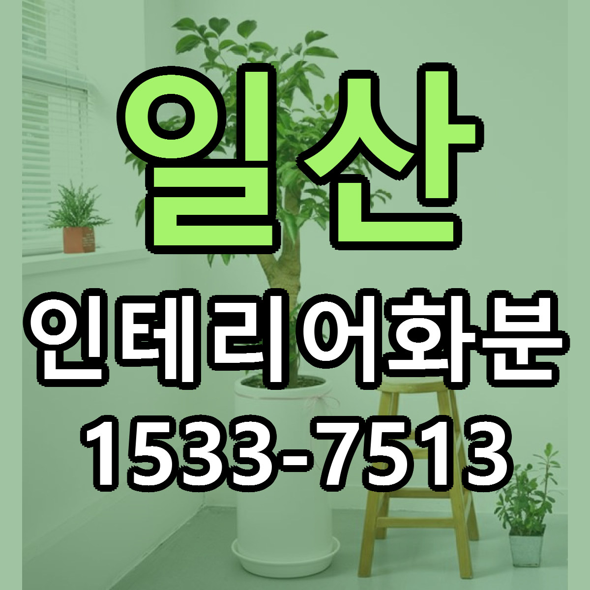 일산 인테리어화분 근처꽃집 당일배송 싼곳 추천