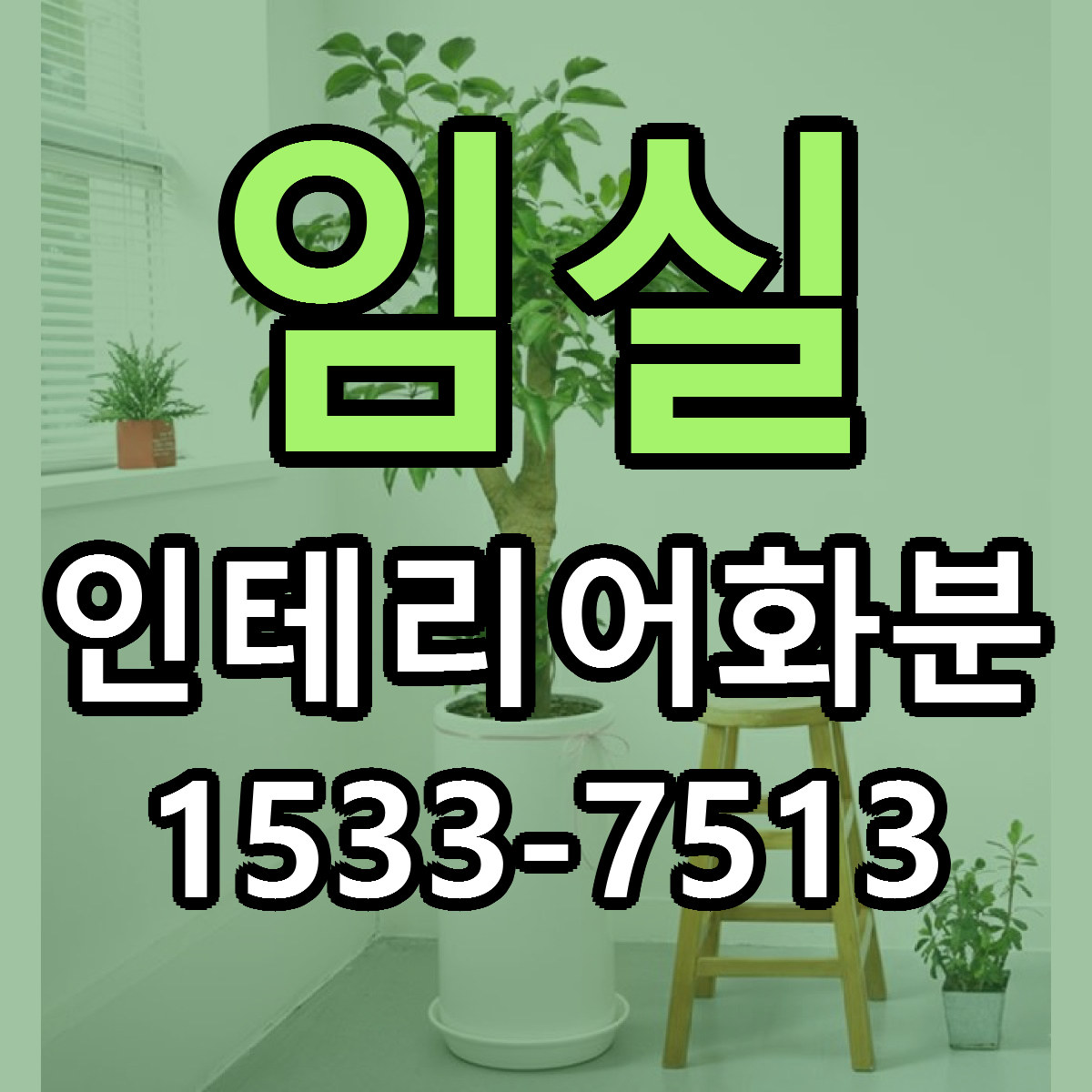 임실 인테리어화분 싼곳 당일배송 리본문구 작성