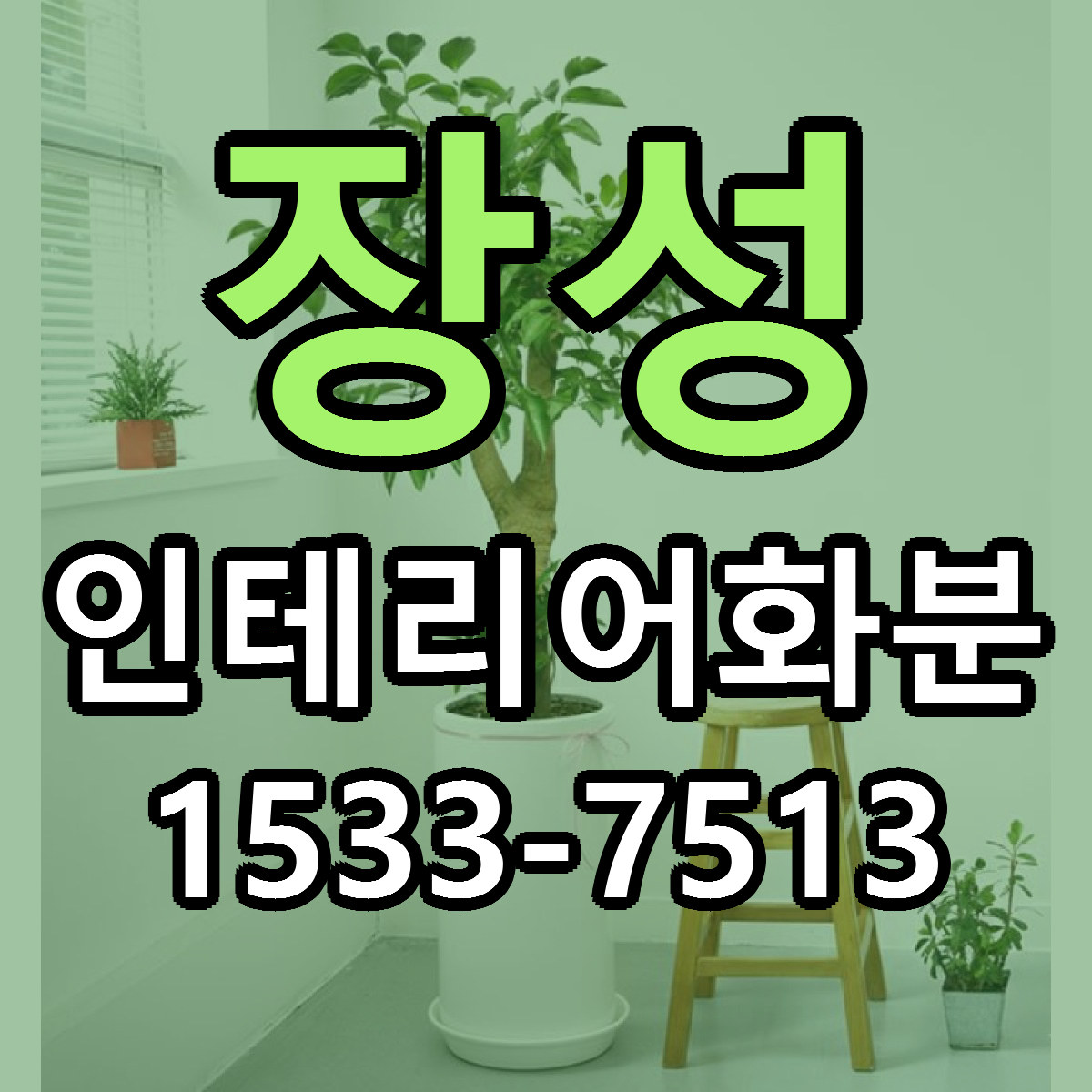 장성 인테리어화분 가격 착한 싼곳 당일배송 안내