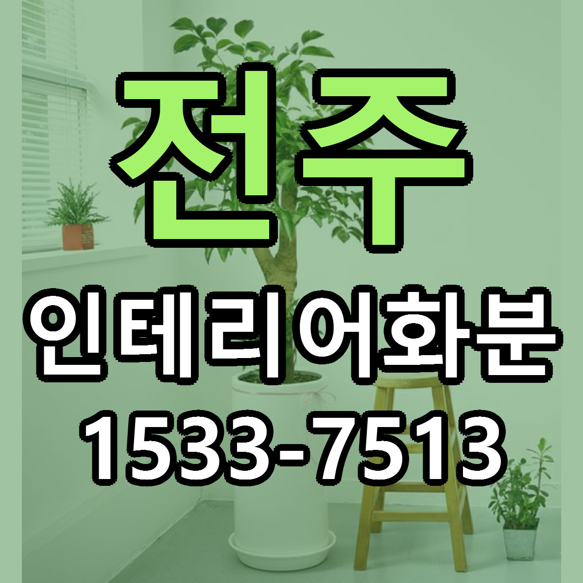 전주 인테리어화분 근처꽃집 당일배송 가격 안내