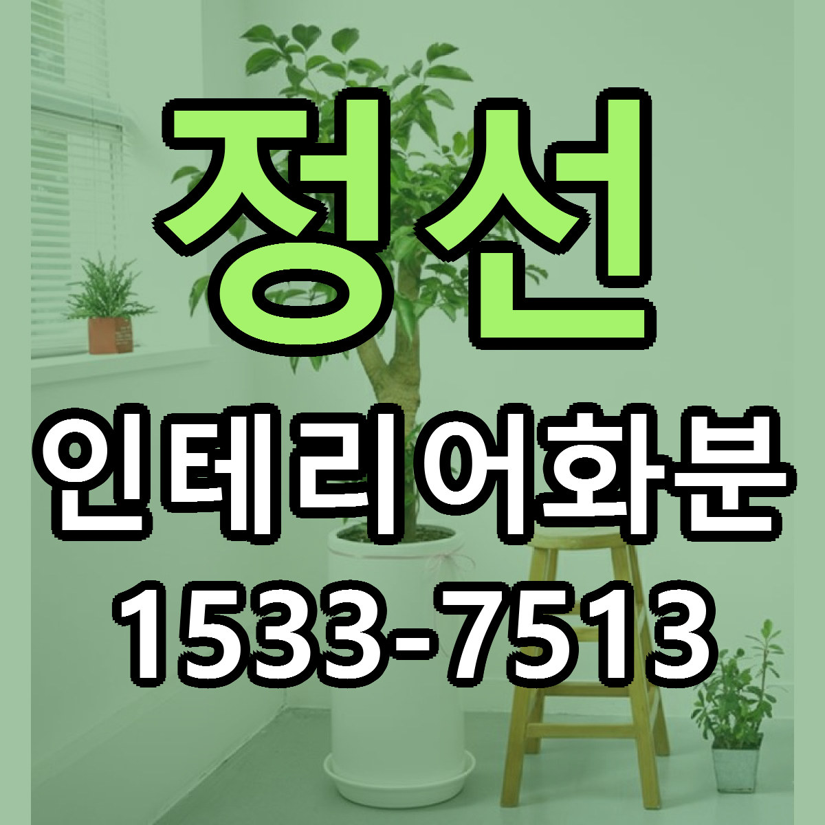 정선 인테리어화분 리본문구 근처꽃집 저렴한곳 예약
