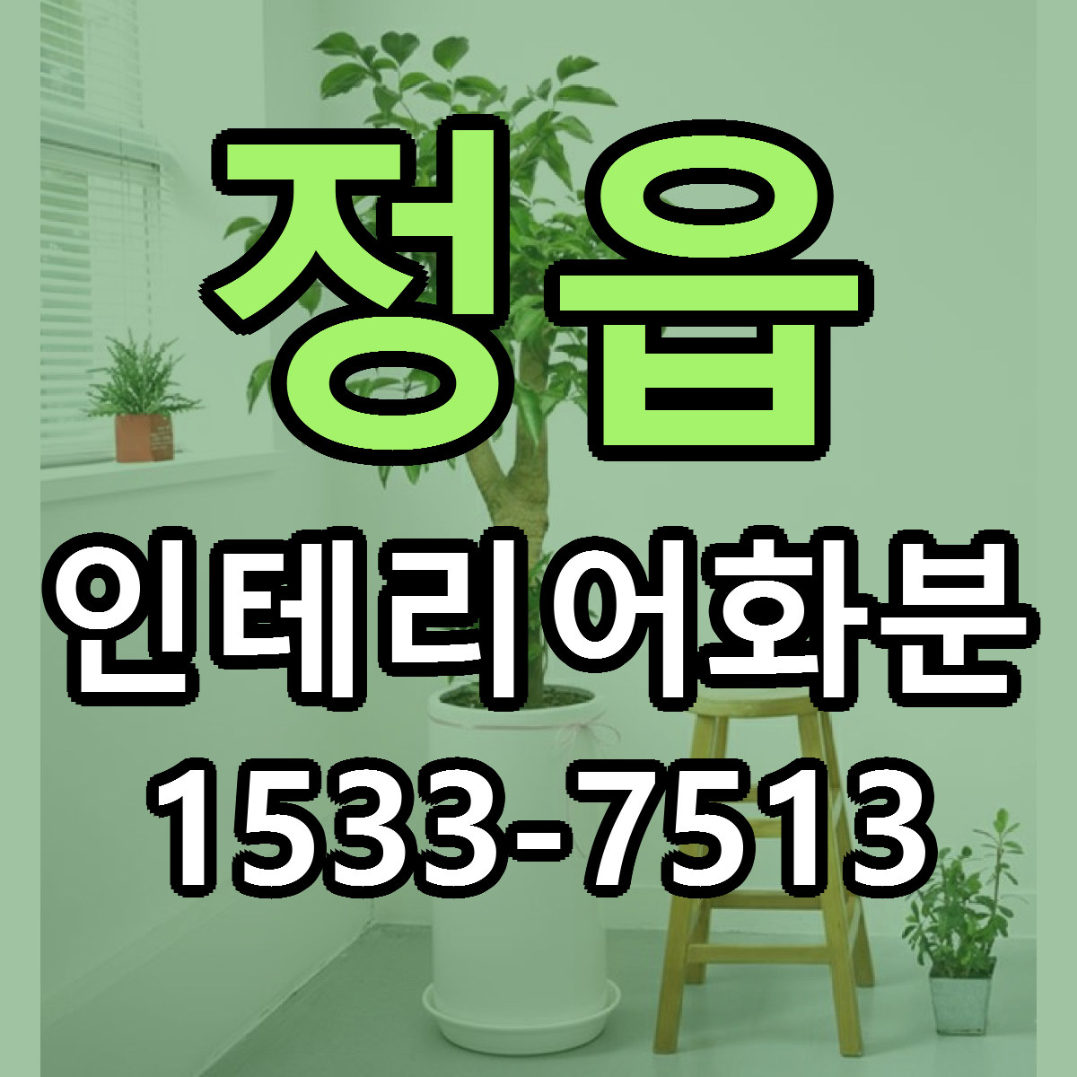 정읍 인테리어화분 당일배송 리본문구 싼곳 찾기