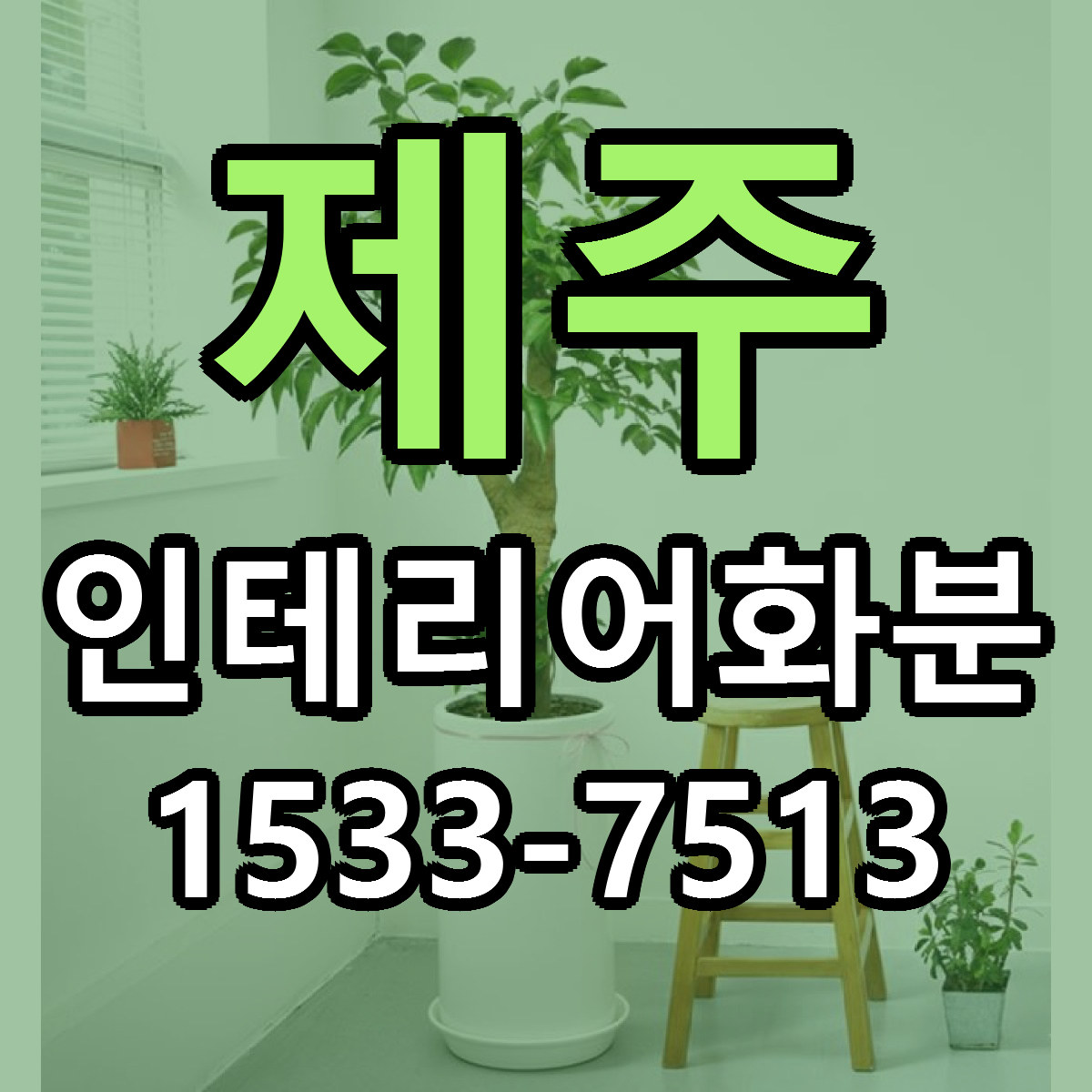 제주 인테리어화분 저렴한곳 당일배송 가격 만족