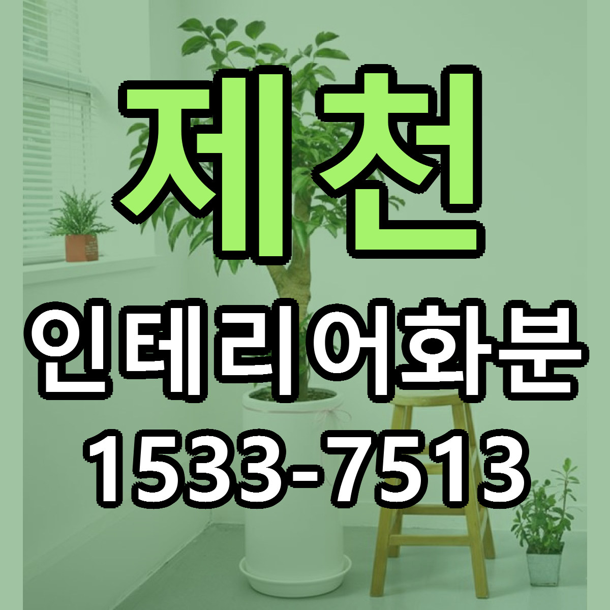 제천 인테리어화분 싼곳 당일배송 빠른배송 추천