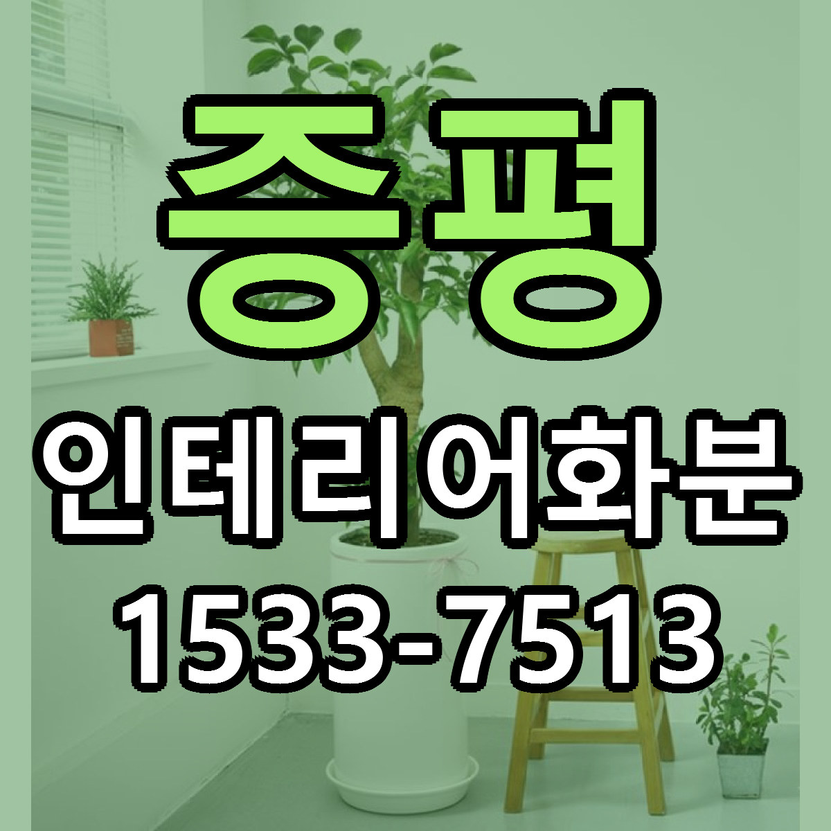 증평 인테리어화분 당일배송 저렴한곳 리본문구 추천