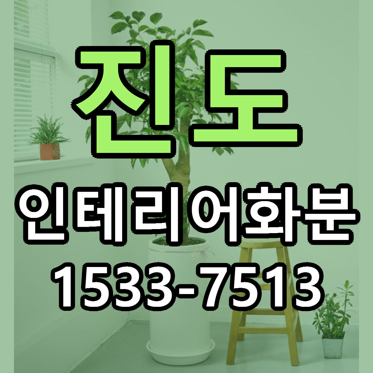 진도 인테리어화분 근처꽃집 당일배송 리본문구 서비스