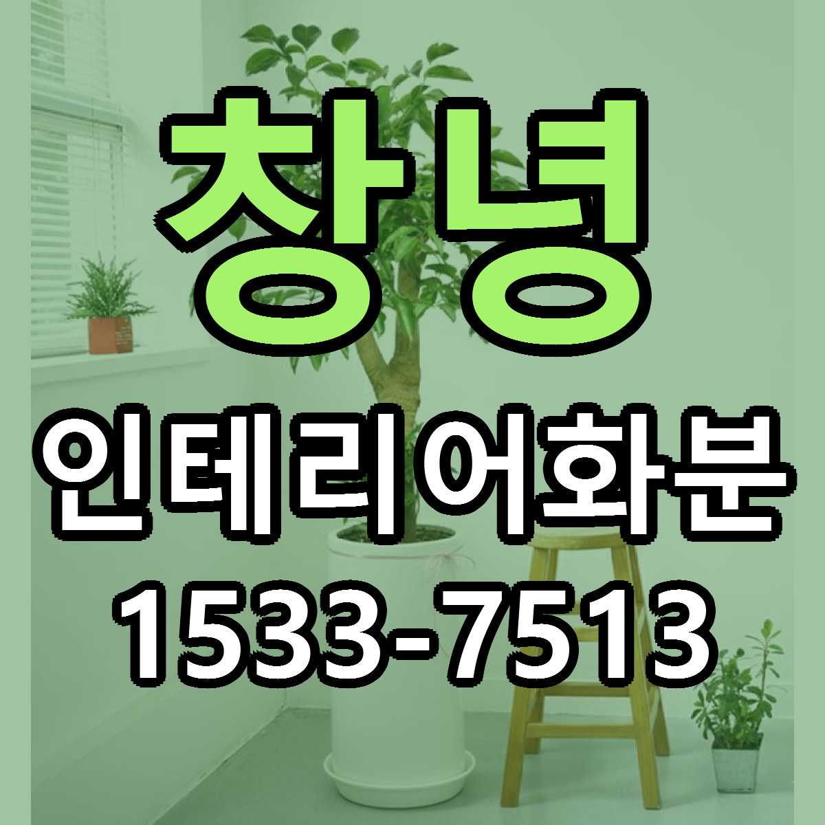 창녕 인테리어화분 저렴한곳 당일배송 근처꽃집 추천