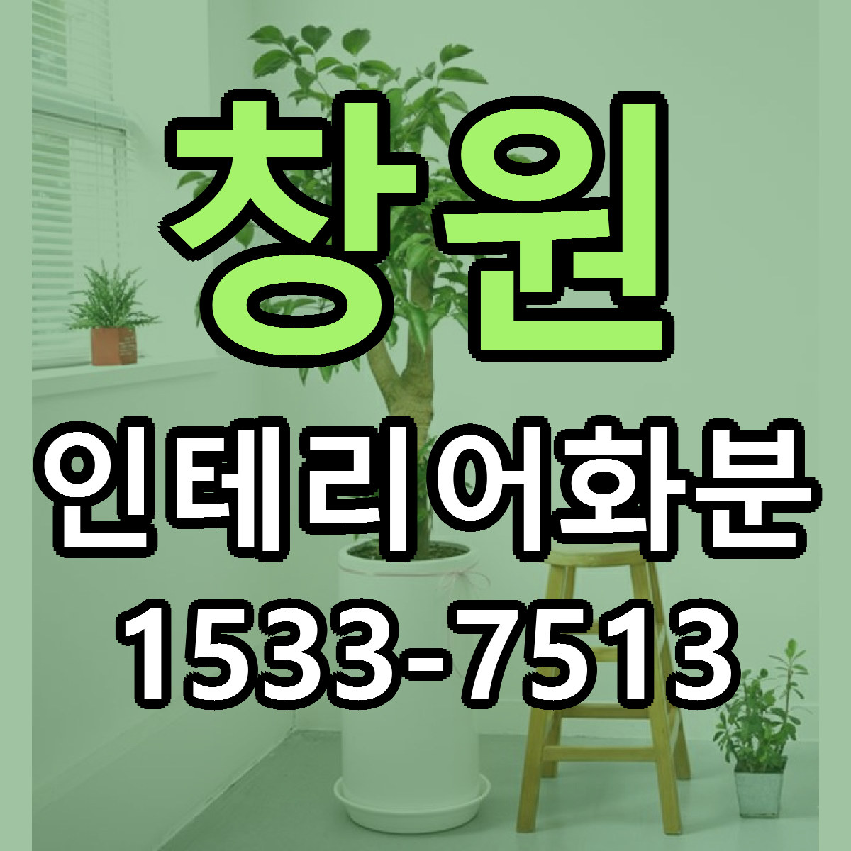 창원 인테리어화분 근처꽃집 빠른배송 가격 문의