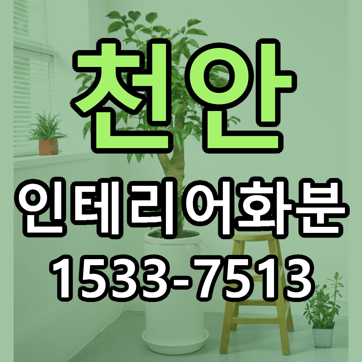 천안 인테리어화분 근처꽃집 당일배송 가격 안내