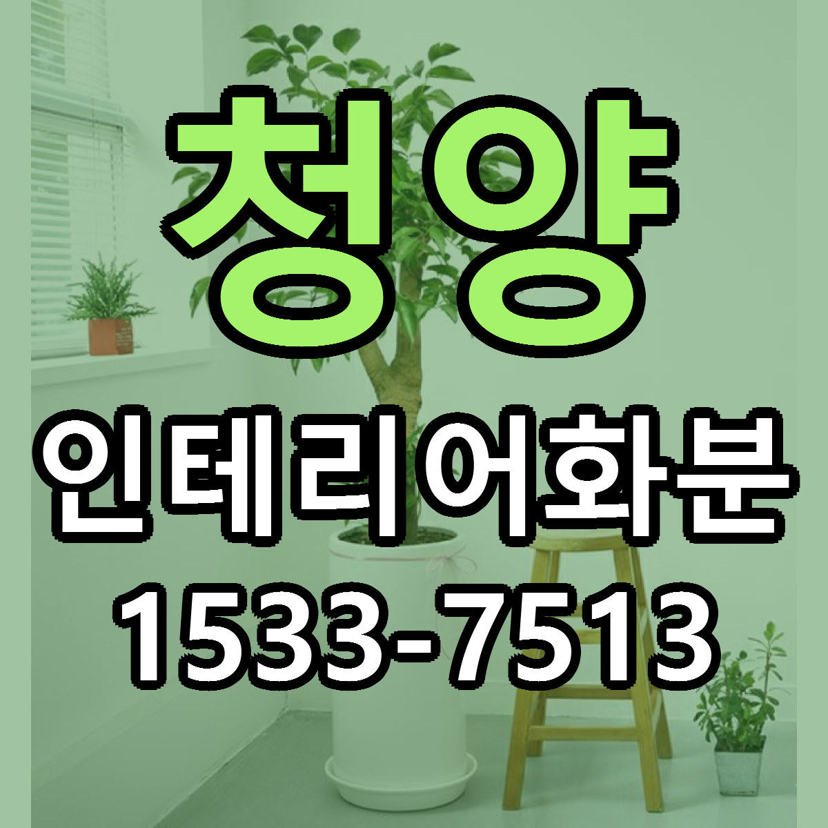 청양 인테리어화분 가격 착한 싼곳 당일배송 안내