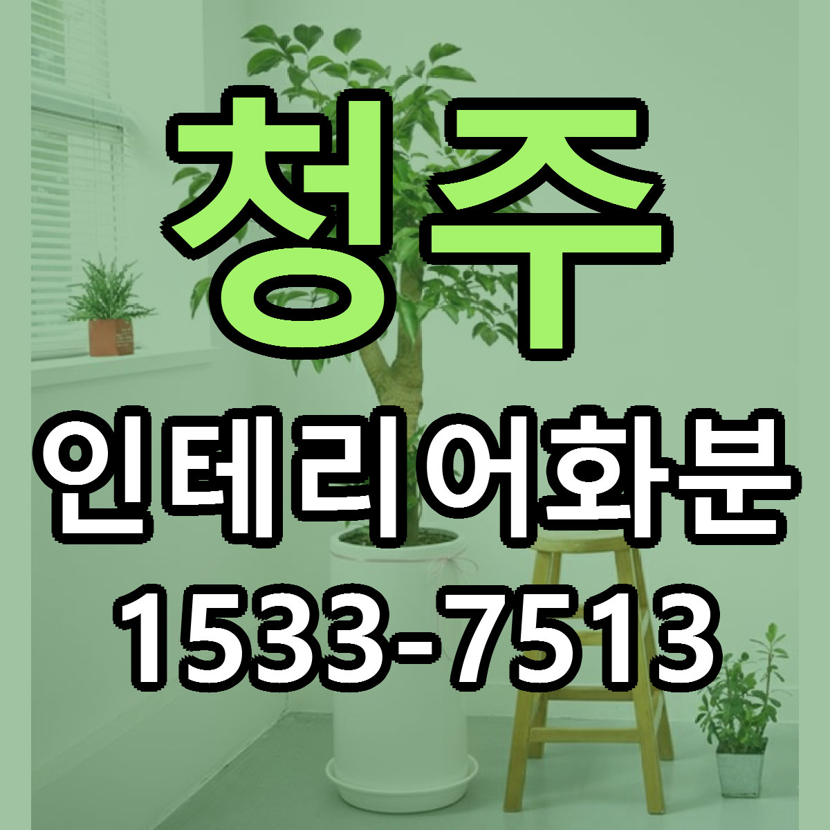 청주 인테리어화분 리본문구 싼곳 빠른배송 예약