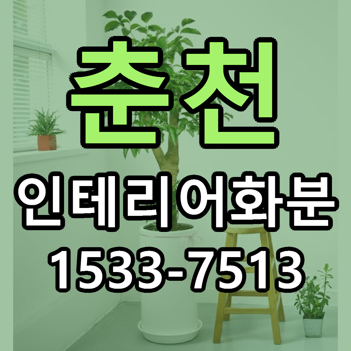 춘천 인테리어화분 당일배송 가격 저렴한곳 추천