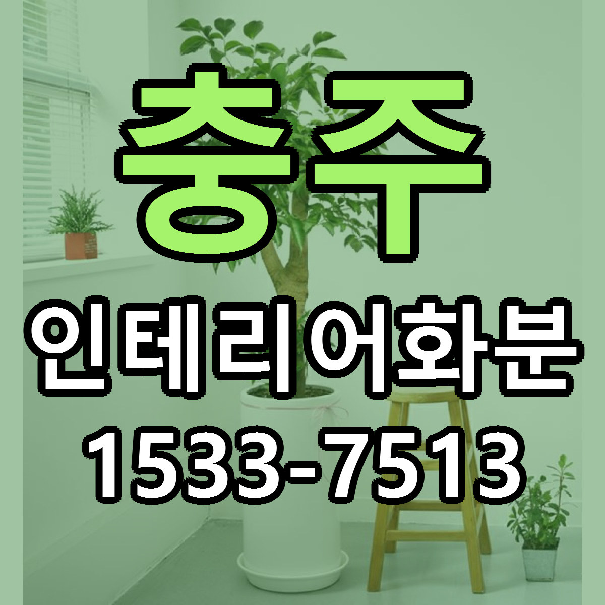 충주 인테리어화분 빠른배송 싼곳 가격 문의